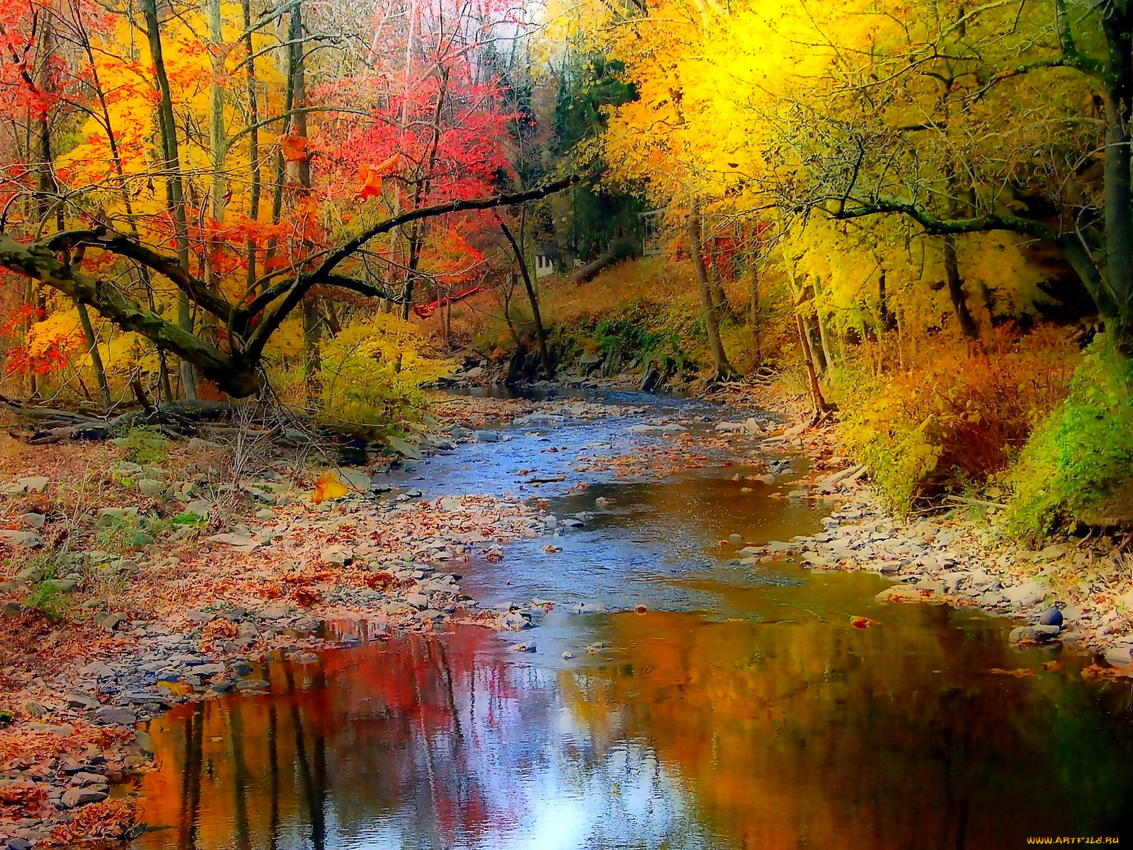 autumn, colors, , , , , , , 